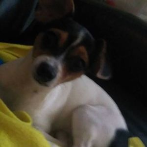 Meet your Posher, Thomas liltj